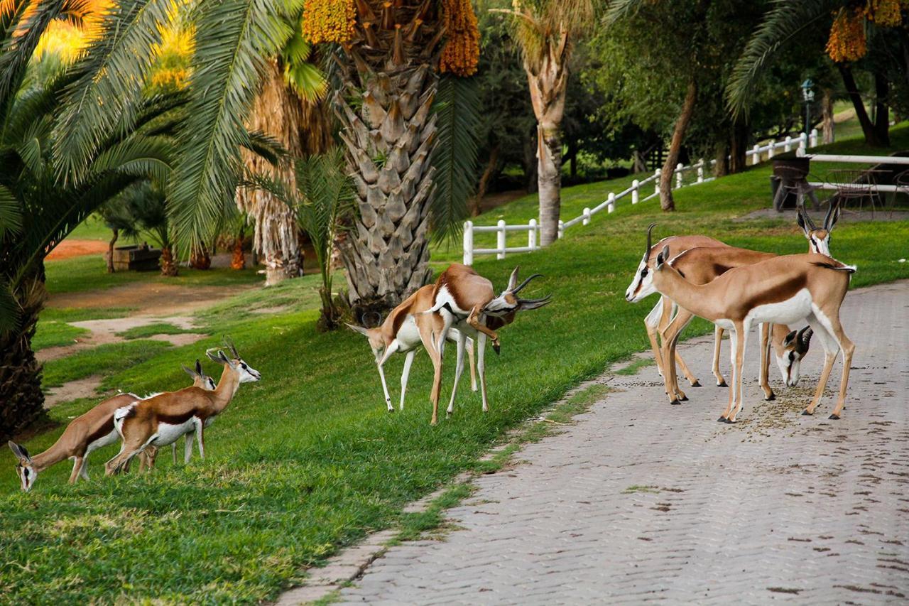 Ikaia River Lodge